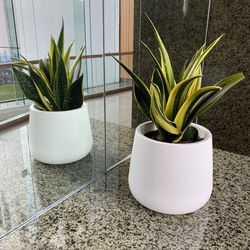 Close-up of potted plant on tiled floor