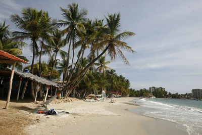 Palm trees on beach against cloudy sky