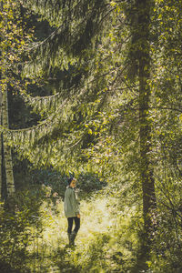 Young woman walking along sunny fir wood scenic photography