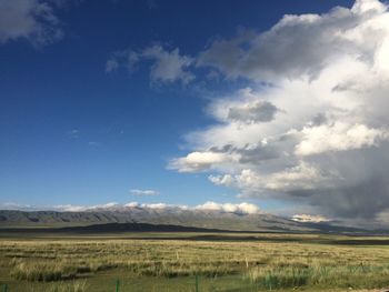 Scenic view of field against sky