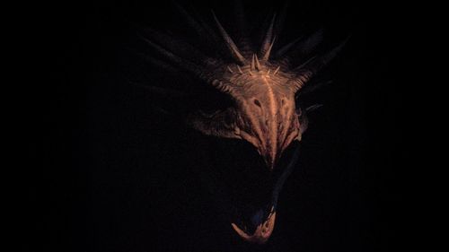 Low angle view of fireworks against dark sky