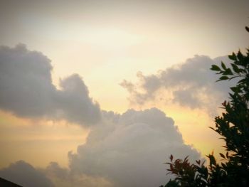 Low angle view of trees against cloudy sky