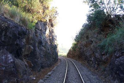 View of railroad tracks along trees