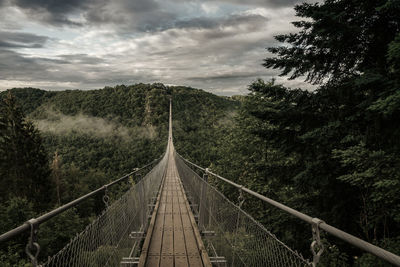 View of a suspension bridge in germany, geierlay.