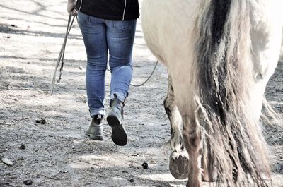 Low section of person standing by horse