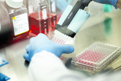 Midsection of scientist working in laboratory