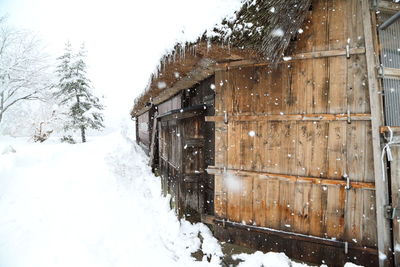 Snow covered trees by building during winter
