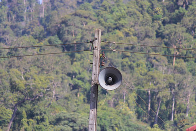 Low angle view of telephone pole amidst trees