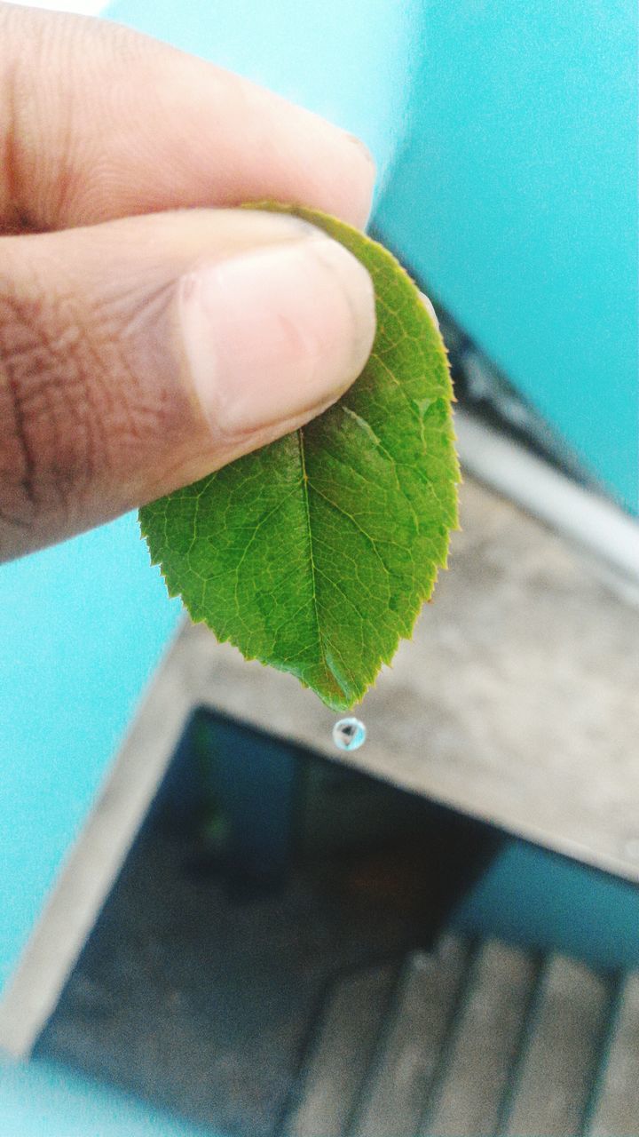 person, part of, indoors, cropped, green color, close-up, blue, swimming pool, holding, high angle view, water, unrecognizable person, human finger, personal perspective, day, focus on foreground, reflection