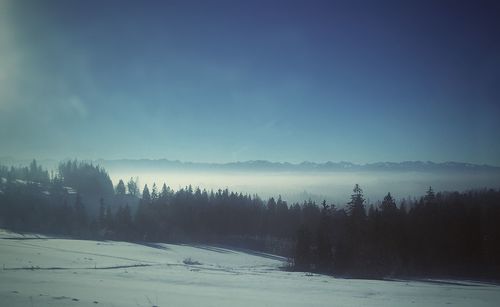 Silhouette trees on landscape against sky