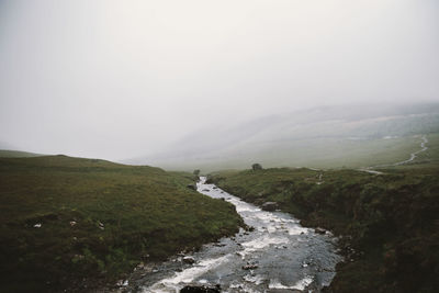 Stream flowing through a forest