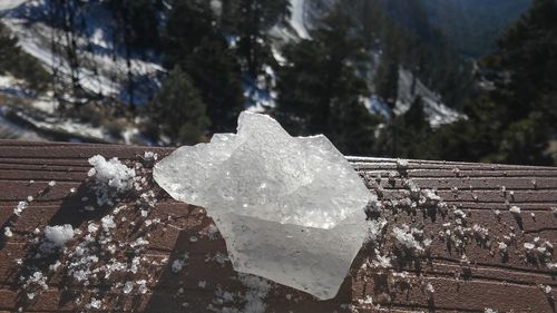 Close-up of snow on rock