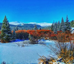 View of frozen lake against blue sky