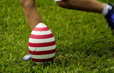 Low section of man standing on grass