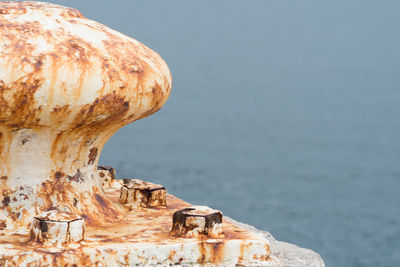 Close-up of rock by sea against sky