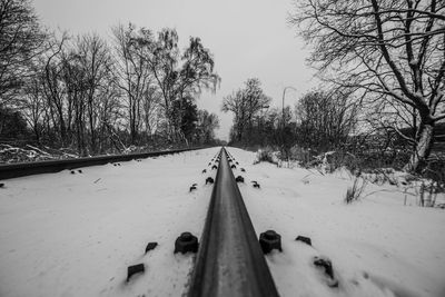 Surface level of snow covered railway tracks along bare trees