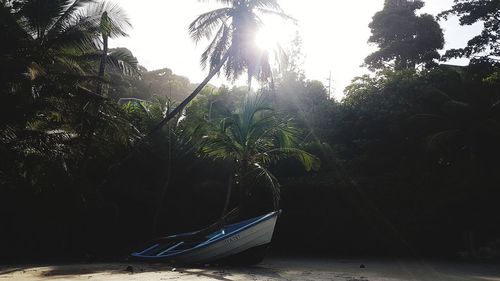 Boat moored by trees against sky