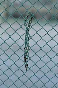 Close-up of chainlink fence