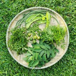 High angle view of fruit and vegetables in basket