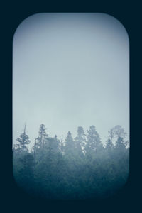 Scenic view of trees against sky during winter