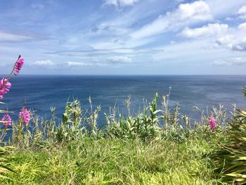 Scenic view of sea against sky