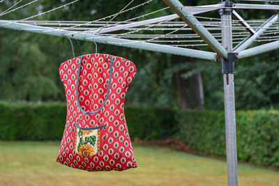 Rear view of clothes hanging on tree