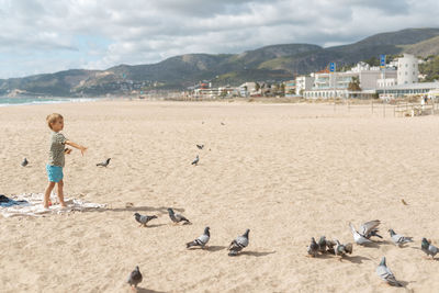 A boy feeds pigeons on a sandy beach against a background of apartment complexes and a stormy sky