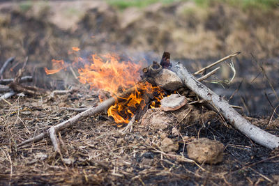 Close-up of bonfire on field