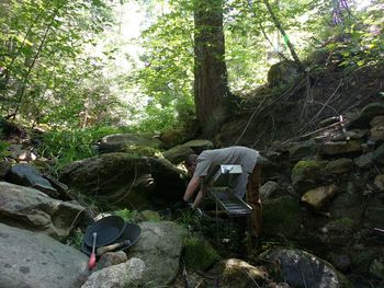 Woman standing on tree trunk in forest