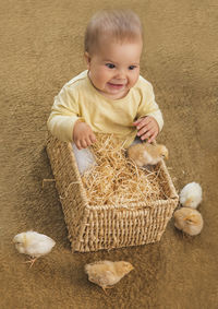 High angle view of cute baby boy standing in wicker basket