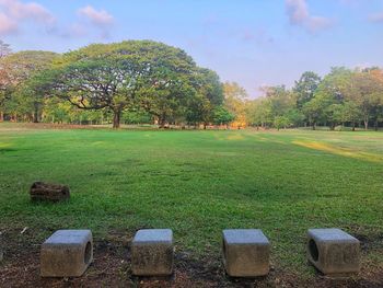 Scenic view of field against sky