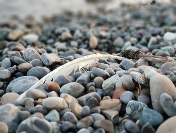 Full frame shot of pebbles on beach