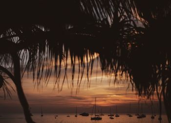 Silhouette palm trees by sea against sky during sunset