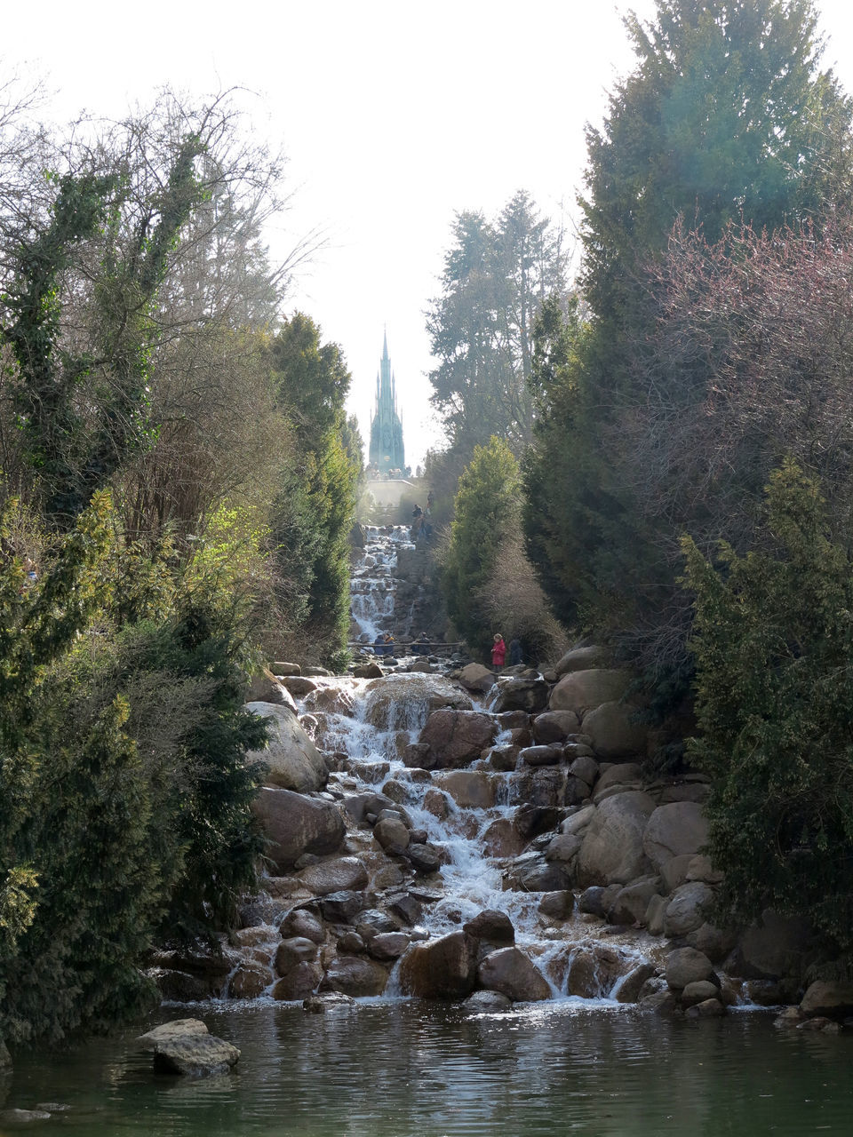 STREAM FLOWING THROUGH TREES