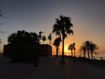 Silhouette palm trees against sky during sunset