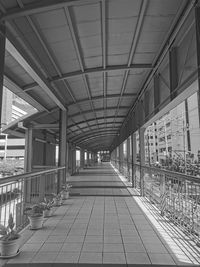 Vanishing point shot of dela rosa elevated walk way