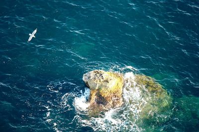 High angle view of waves splashing rock at sea