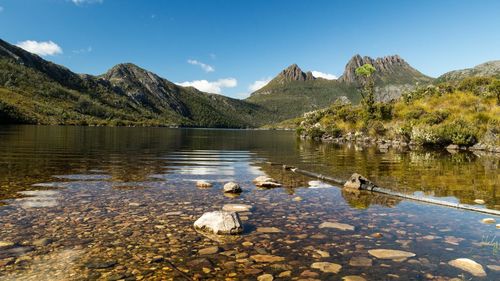 Scenic view of dove lake