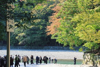 People by trees in park