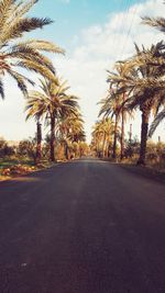 Road amidst palm trees against sky