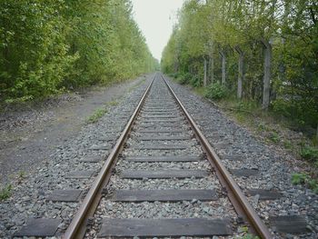 Railroad tracks amidst trees against sky