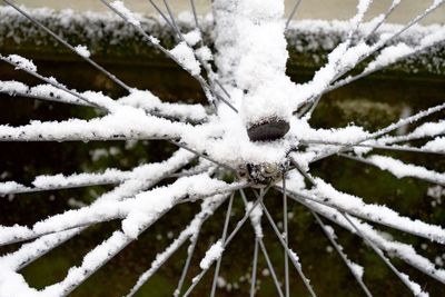 Close-up of frozen snow