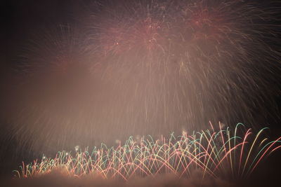 Low angle view of firework display at night