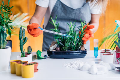 Woman fertilizing plants on the table at home