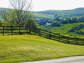 Scenic view of field against clear sky