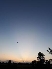 Silhouette of birds flying against clear sky