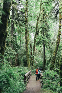 Man walking on dirt road amidst trees in forest