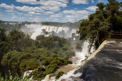 Scenic view of waterfall in forest