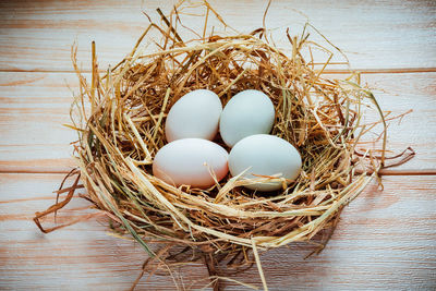 High angle view of eggs in nest on table