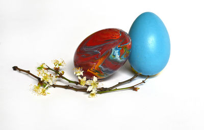 Close-up of easter eggs against white background